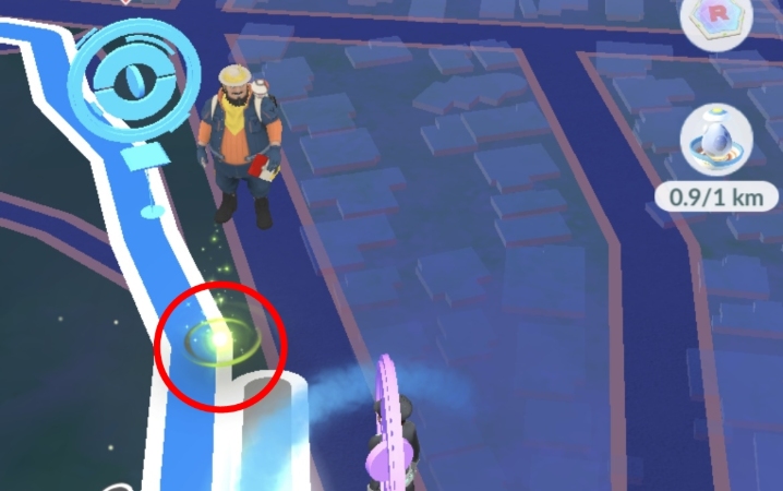 ポケモンGO ルート ジガルデ・セル
