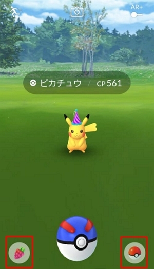 道具を使ってポケモンを捕らえる