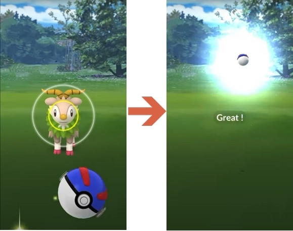 色違いメェークルを捕らえた