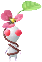 クローバー(レア) 白ピクミン クローバー(レア) 白ピクミン