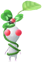 クローバー 白ピクミン クローバー 白ピクミン