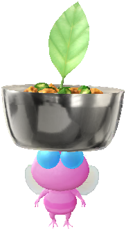 カレー 羽ピクミン カレー 羽ピクミン