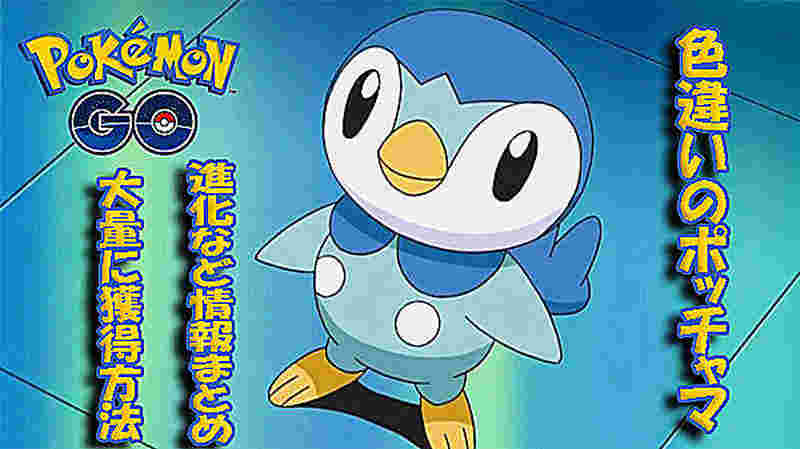 the evolution of piplup
