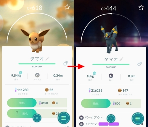 名前指定でブラッキーに進化