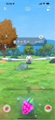 野生ポケモン
