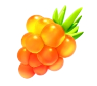 きんのズリのみ