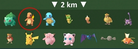 ヒトカゲのタマゴ孵化