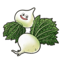 りっぱな大根