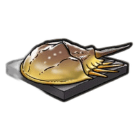 カブトガニ