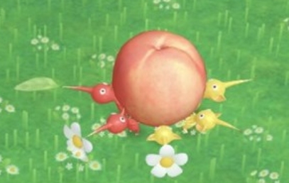 ピクミンブルーム おつかい