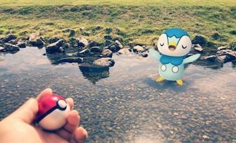 ポッチャマの出現場所水辺