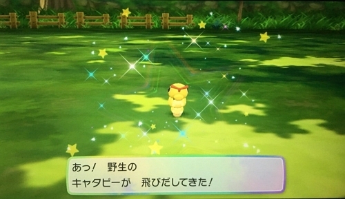  野生でキャタピーを捕らえる