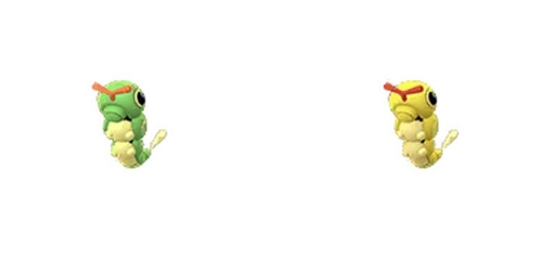 色違いのキャタピー