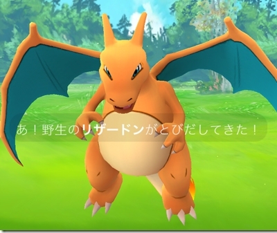 リザードンが野生での出現