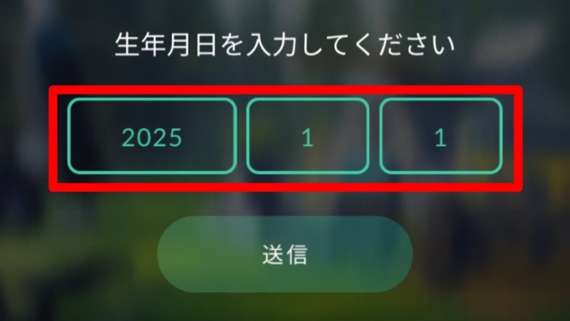 ポケモンGO 生年月日を入力