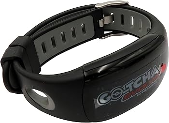 ポケモン go 自動 捕獲