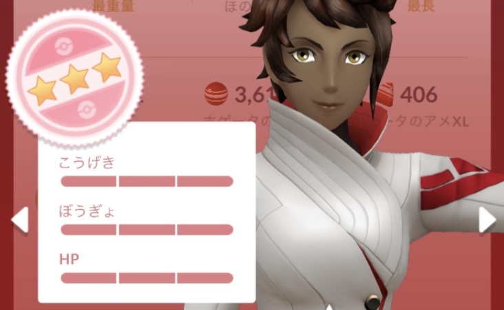 ポケモン go 初心者 遊び方