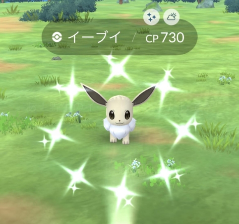 ポケモン go 初心者 遊び方