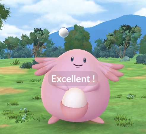 ポケモン go 初心者 遊び方