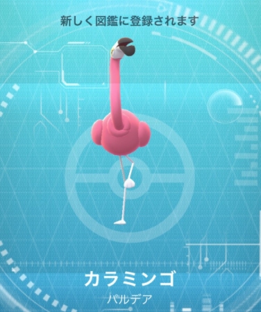 ポケモンGOのカラミンゴ