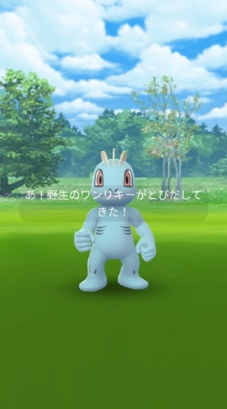 ポケモンGO カイリキー