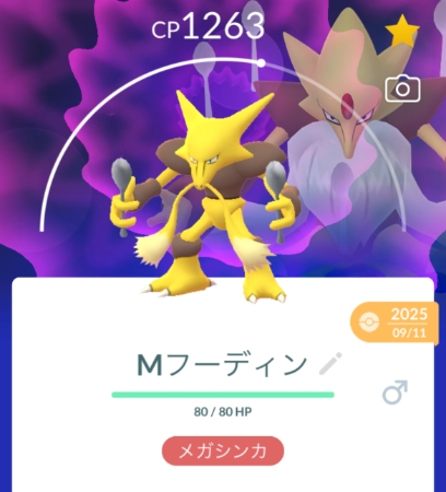 メガシンカの具体的なやり方