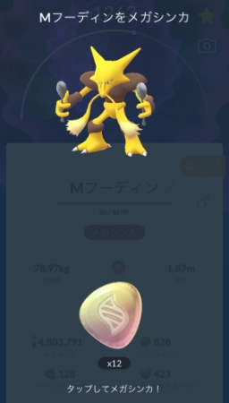 メガシンカの具体的なやり方