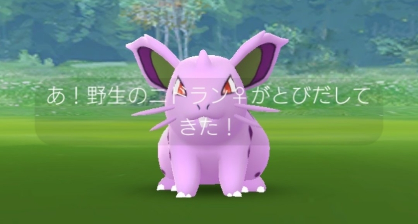 ポケモンGO 野生 ニドラン♀
