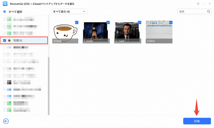 RecoverGo データをスキャン