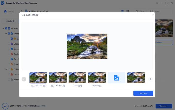 recovergo SDカードのデータを復元