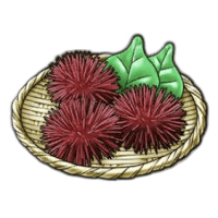 赤ウニ