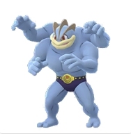 ラッキーの対策ポケモンカイリキー