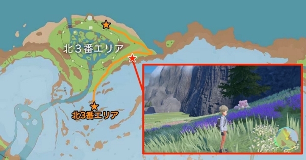 ハピナスの出現場所