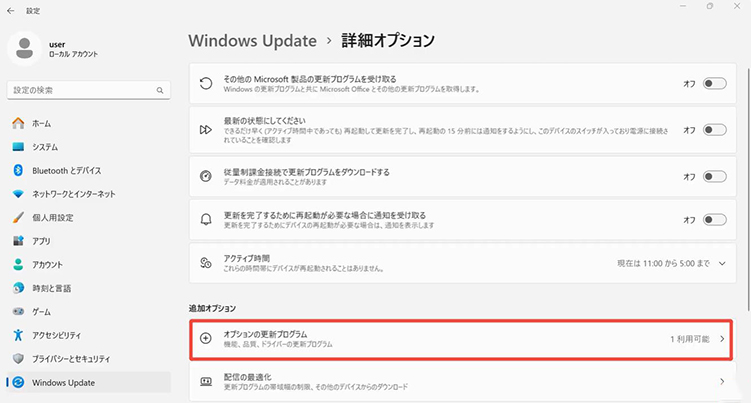 windows11 更新 詳細オプション