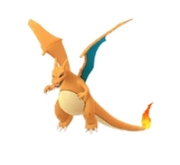 対策ポケモン リザードン